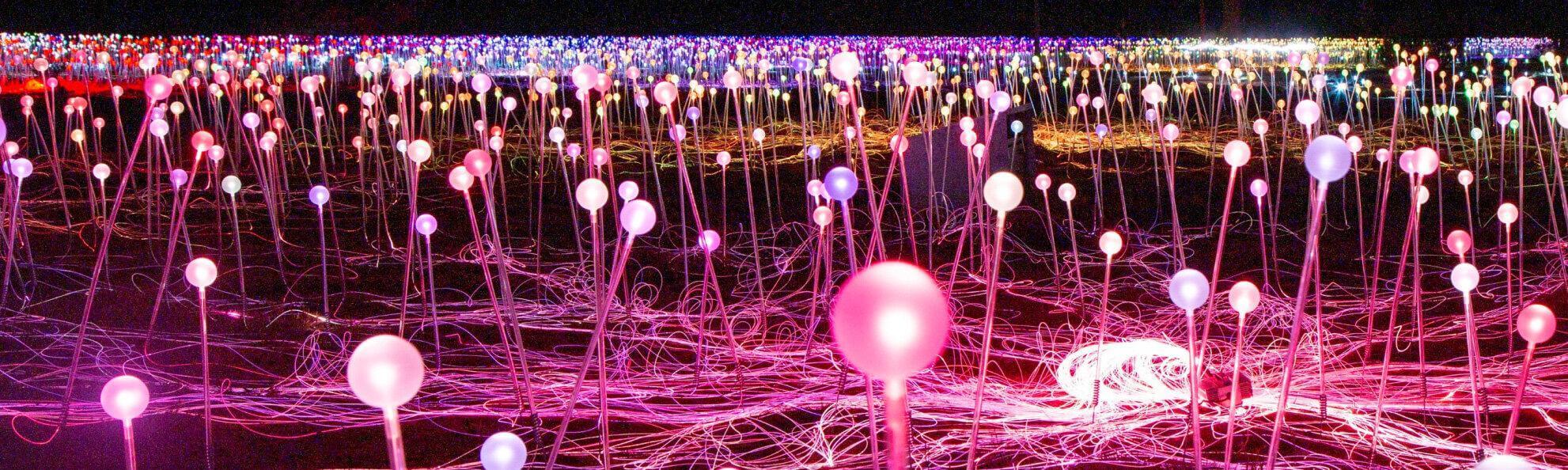 a colourful light up art exhibition